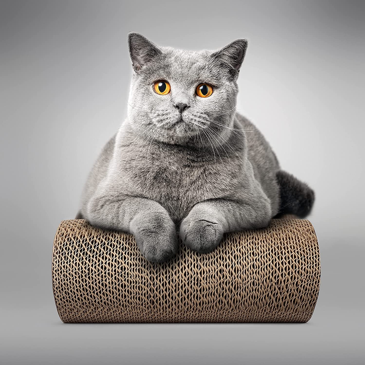 "XXL Ultimate Cat Scratcher Lounge - Reversible Board, Premium Cardboard Design, Durable Scratchers, Scratching Bed and Post in One!"